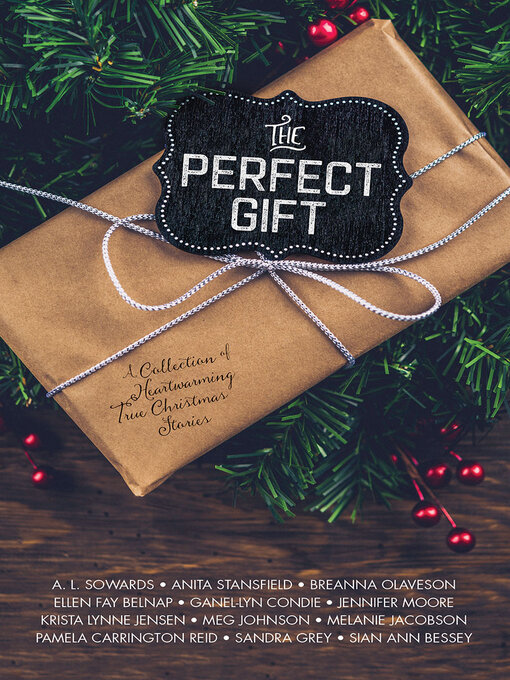 Title details for The Perfect Gift by A. L. Sowards - Available